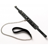 Черный ошейник с шипами и поводком - Crazy Handmade - купить с доставкой в Нижнем Тагиле