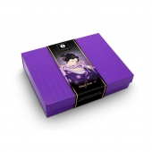 Подарочный набор Naughter Kit - Shunga - купить с доставкой в Нижнем Тагиле