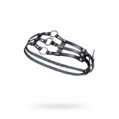 Черный кожаный пояс с кольцами - Pecado - купить с доставкой в Нижнем Тагиле