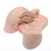 Мастурбатор-полуторс Naked Factory Kate - Naked Factory - в Нижнем Тагиле купить с доставкой