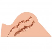 Мастурбатор-полуторс Naked Factory Hannah - Naked Factory - в Нижнем Тагиле купить с доставкой