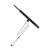 Черный узкий однослойный ошейник с серебристым поводком-цепочкой - Pecado - купить с доставкой в Нижнем Тагиле