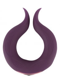 Вибратор для пар Two Motors Couple’s Ring в форме кольца - Orion - в Нижнем Тагиле купить с доставкой