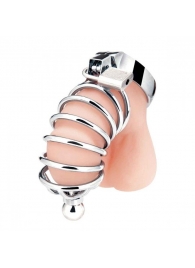 Серебристая клетка для члена Urethral Play Cage - BlueLine - купить с доставкой в Нижнем Тагиле
