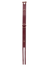 Бордовый ремень Halo Waist Belt - размер L-XL - Shots Media BV - купить с доставкой в Нижнем Тагиле
