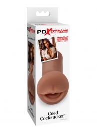 Мастурбатор-ротик Coed Cocksucker - Pipedream - в Нижнем Тагиле купить с доставкой