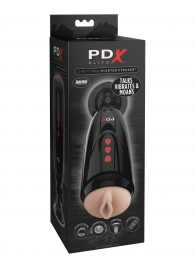 Мастурбатор-вагина с вибрацией Dirty Talk Starter Stroker - Pipedream - в Нижнем Тагиле купить с доставкой