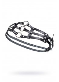 Черный кожаный пояс с кольцами - Pecado - купить с доставкой в Нижнем Тагиле