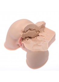 Мастурбатор-полуторс Naked Factory Kate - Naked Factory - в Нижнем Тагиле купить с доставкой