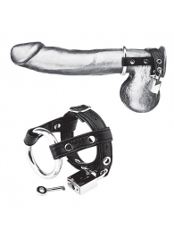Утяжка на пенис на замочке Duo Cock And Ball Lock - BlueLine - купить с доставкой в Нижнем Тагиле