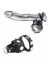 Утяжка для мошонки и пениса Cock Ring With 1  Ball Stretcher And Optional Weight Ring - BlueLine - купить с доставкой в Нижнем Тагиле