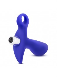 Синий стимулятор простаты с ручкой-кольцом Performance Prostimulator 02 - Blush Novelties - в Нижнем Тагиле купить с доставкой