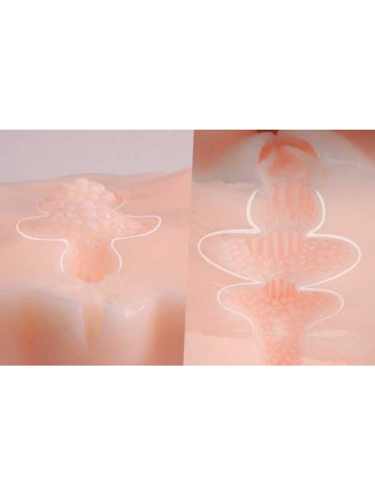 Мастурбатор-полуторс Angel без вибрации - KOKOS - в Нижнем Тагиле купить с доставкой