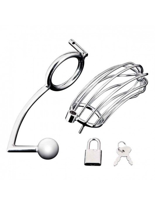 Серебристая металлическая клетка с анальным стимулятором Cock Cage - BlueLine - купить с доставкой в Нижнем Тагиле