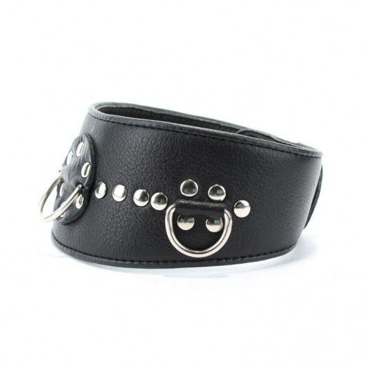 Чёрный кожаный ошейник с полукольцами и клёпками - БДСМ Арсенал - купить с доставкой в Нижнем Тагиле