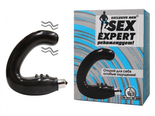 Чёрный массажёр простаты серии Sex Expert - Sex Expert - в Нижнем Тагиле купить с доставкой