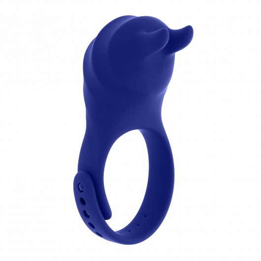 Синее эрекционное виброкольцо с клиторальной подушечкой и пультом ДУ Adjustable Fun Ring - Zero Tolerance - в Нижнем Тагиле купить с доставкой
