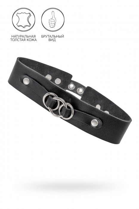 Черный чокер-ошейник со связанными кольцами на подложке - Pecado - купить с доставкой в Нижнем Тагиле