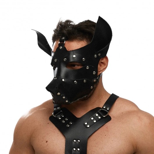 Черная кожаная маска «Собака» - Crazy Handmade - купить с доставкой в Нижнем Тагиле