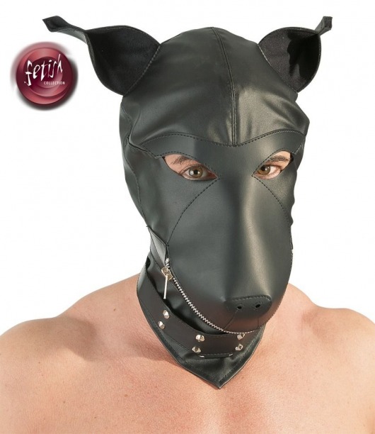 Шлем-маска Dog Mask в виде морды собаки - Orion - купить с доставкой в Нижнем Тагиле