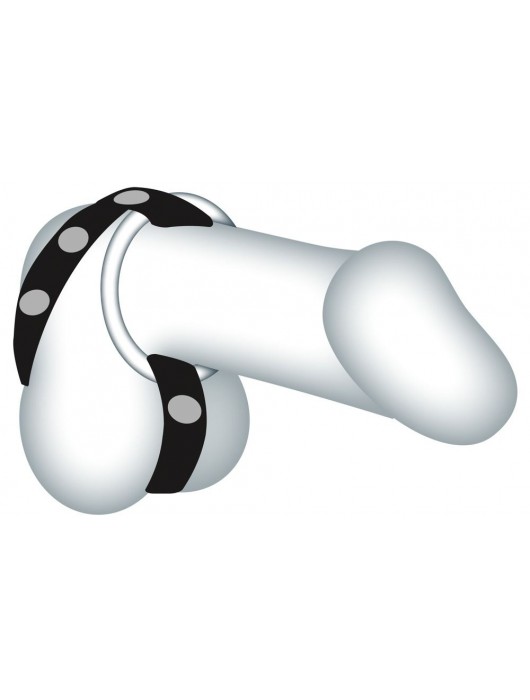 Подхват для мошонки с 3 съемными эрекционными кольцами Leder-Riemen - Orion - в Нижнем Тагиле купить с доставкой