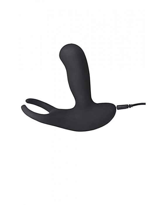 Стимулятор простаты Levett Earl с 2 моторами и пультом ДУ - Levett - в Нижнем Тагиле купить с доставкой