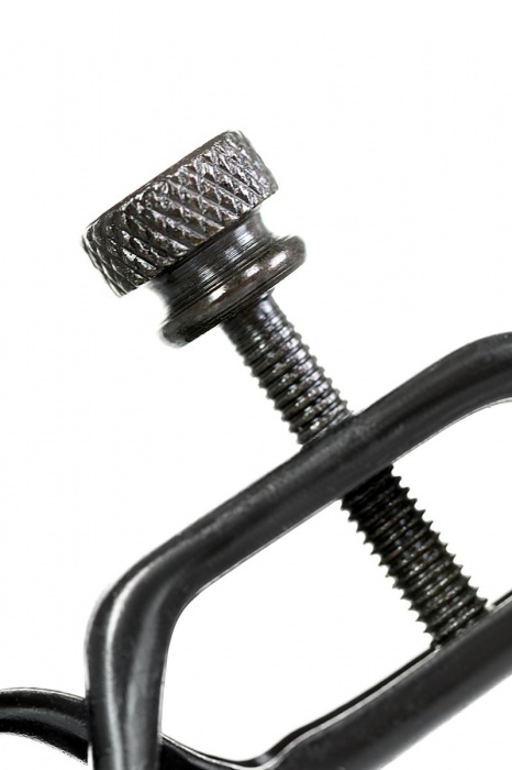 Черно-золотистые зажимы для сосков TOYFA Theatre - ToyFa - купить с доставкой в Нижнем Тагиле