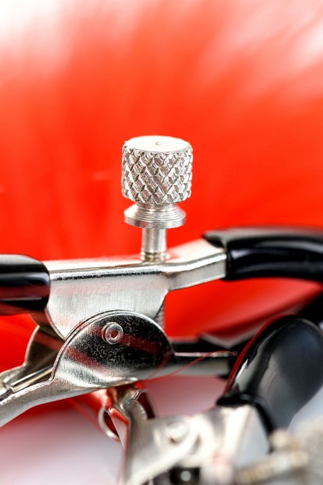 Зажимы для сосков с красным пухом Theatre - ToyFa - купить с доставкой в Нижнем Тагиле